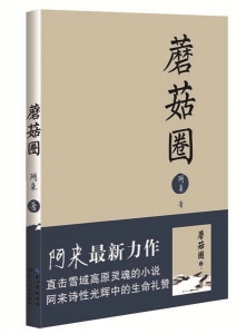 1546713375836912.jpg 4.jpg