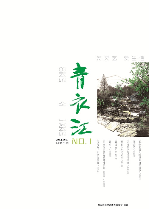 青衣江 2020第1期-封面.jpg